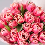 7 Easy Tips to Keep Your Cut Flowers Fresh and Beautiful for Days